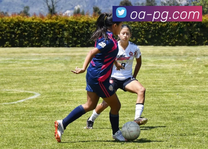 pg电子APP 体育赛事宣传图